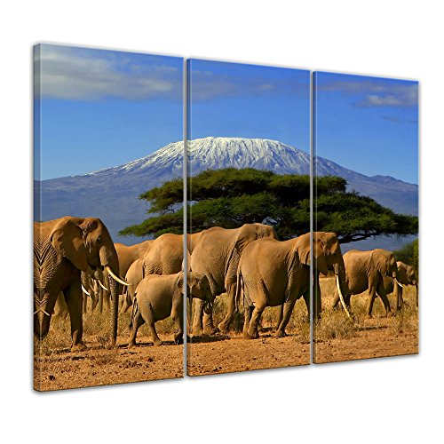 Bilderdepot24 Bild auf Leinwand | Elefanten am Kilimandscharo in 120x80 cm mehrteilig als Wandbild XXL | Wand-deko Dekoration Wohnung modern Bilder | 202301 von Bilderdepot24