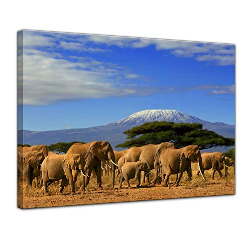 Bilderdepot24 Bild auf Leinwand | Elefanten am Kilimandscharo in 120x90 cm als Wandbild XXL | Wand-deko Dekoration Wohnung modern Bilder | 202301 von Bilderdepot24