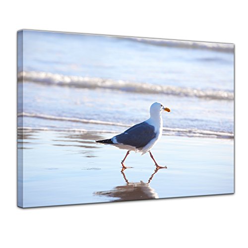 Bilderdepot24 Bild auf Leinwand | Möwe am Strand in 60x50 cm als Wandbild | Wand-deko Dekoration Wohnung modern Bilder | 210909 von Bilderdepot24