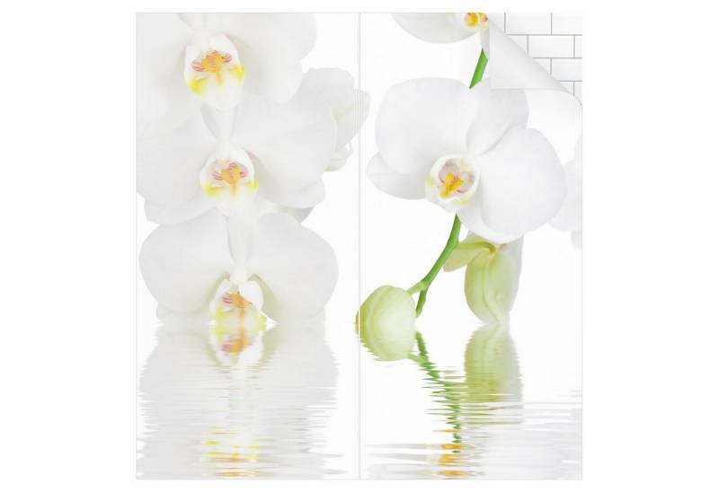 Bilderdepot24 Duschrückwand Blumen weiß Duschrückwand ohne Bohren Dusche Fliesenersatz, (0,61 mm starke Folie selbstklebend Wandpaneele Dusche versch. Größen), fugenlose & wasserfeste Motiv Rückwand Wandverkleidung für Duschkabine von Bilderdepot24