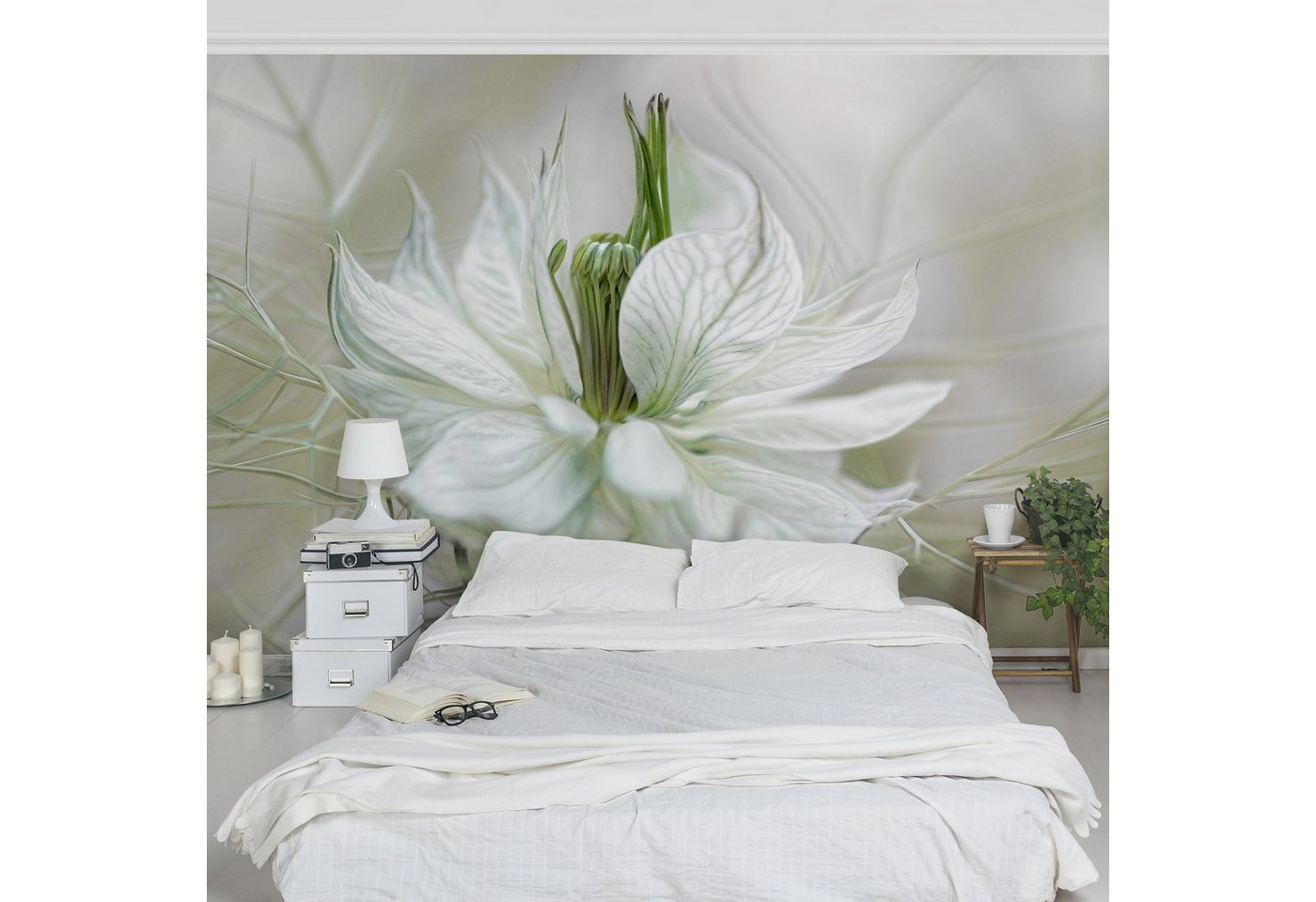 Bilderdepot24 Fototapete Blumen Weiße Nigella Blumentapete Floral Natur Modern Kunst Weiß Beige, Glatt, Matt, (Vliestapete inkl. Kleister oder selbstklebend), Wohnzimmer Schlafzimmer Küche Flur Motivtapete Vliestapete Wandtapete von Bilderdepot24