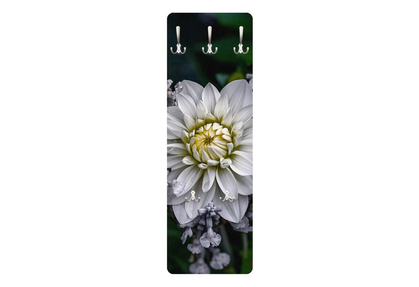 Bilderdepot24 Garderobenpaneel schwarz Blumen Floral Weiße Dahlie Design (ausgefallenes Flur Wandpaneel mit Garderobenhaken Kleiderhaken hängend), moderne Wandgarderobe - Flurgarderobe im schmalen Hakenpaneel Design von Bilderdepot24