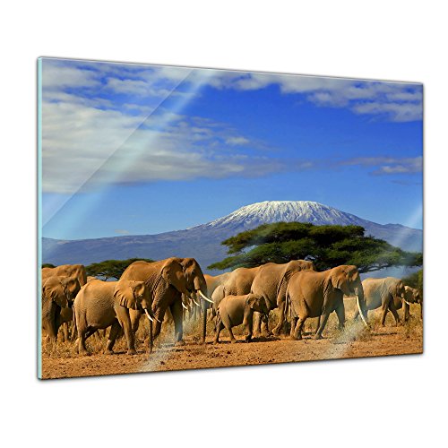Bilderdepot24 Glasbild - Elefanten am Kilimandscharo - 80 x 60 cm - Deko Glas - Wandbild aus Glas - Bild auf Glas - moderne Glasbilder - Glasfoto - Echtglas - kein Acryl - Handmade von Bilderdepot24