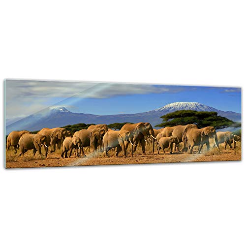 Bilderdepot24 Glasbild - Elefanten am Kilimandscharo - 90 x 30 cm - Deko Glas - Wandbild aus Glas - Bild auf Glas - moderne Glasbilder - Glasfoto - Echtglas - kein Acryl - Handmade von Bilderdepot24