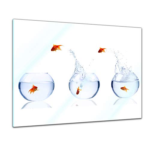 Bilderdepot24 Glasbild - Fischolympiade - 60 x 40 cm - Deko Glas - Wandbild aus Glas - Bild auf Glas - moderne Glasbilder - Glasfoto - Echtglas - kein Acryl - Handmade von Bilderdepot24