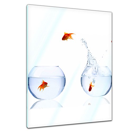 Bilderdepot24 Glasbild - Fischolympiade - 60 x 80 cm - Deko Glas - Wandbild aus Glas - Bild auf Glas - moderne Glasbilder - Glasfoto - Echtglas - kein Acryl - Handmade von Bilderdepot24