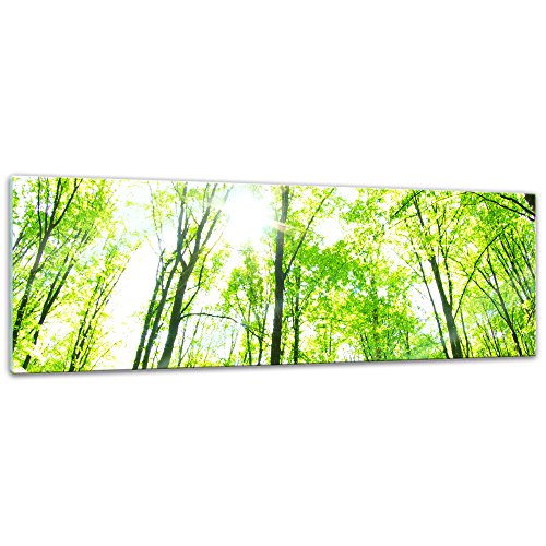 Bilderdepot24 Glasbild - Grüner Wald - 120x40 cm - Deko Glas - Wandbild aus Glas - Bild auf Glas - moderne Bilderdepot24 Glasbilder - Glasfoto - Echtglas von Bilderdepot24