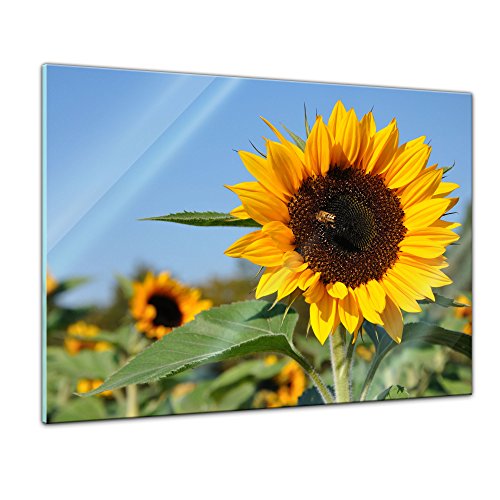 Bilderdepot24 Glasbild - Sonnenblume mit Biene - 80 x 60 cm - Deko Glas - Wandbild aus Glas - Bild auf Glas - moderne Glasbilder - Glasfoto - Echtglas - kein Acryl - Handmade von Bilderdepot24