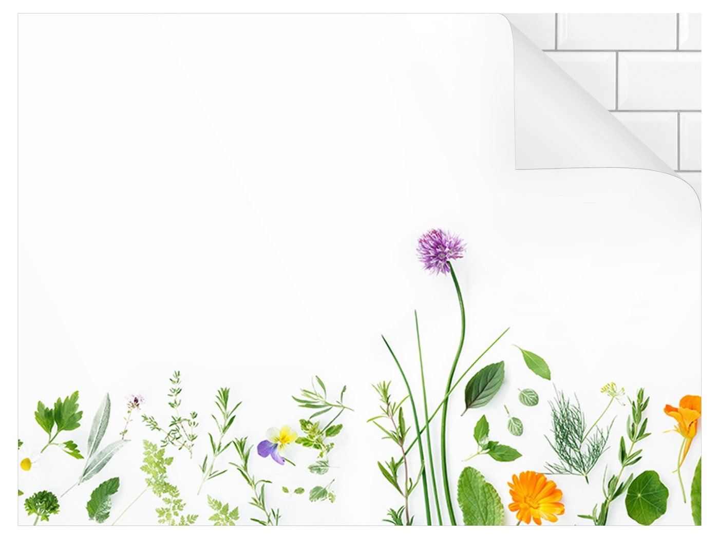 Bilderdepot24 Küchenrückwand grün dekor Blumen Gewürze Kräuter Kräuter und Blüten, (1-tlg., Nischenrückwand - für Fliesenspiegel ohne Bohren - matt), Spritzschutz Rückwand Küche Herd - Folie selbstklebend versch. Größen von Bilderdepot24