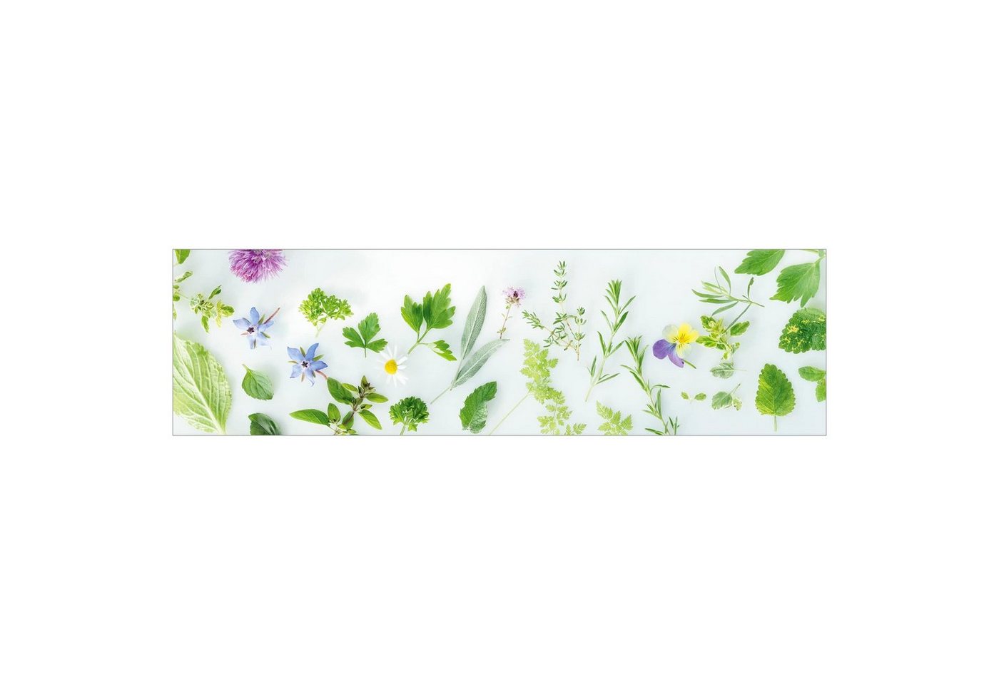 Bilderdepot24 Küchenrückwand grün dekor Blumen Gewürze Kräuter Kräuter und Blüten II, (1-tlg., Nischenrückwand - für Fliesenspiegel ohne Bohren - matt), Spritzschutz Rückwand Küche Herd - Folie selbstklebend versch. Größen von Bilderdepot24