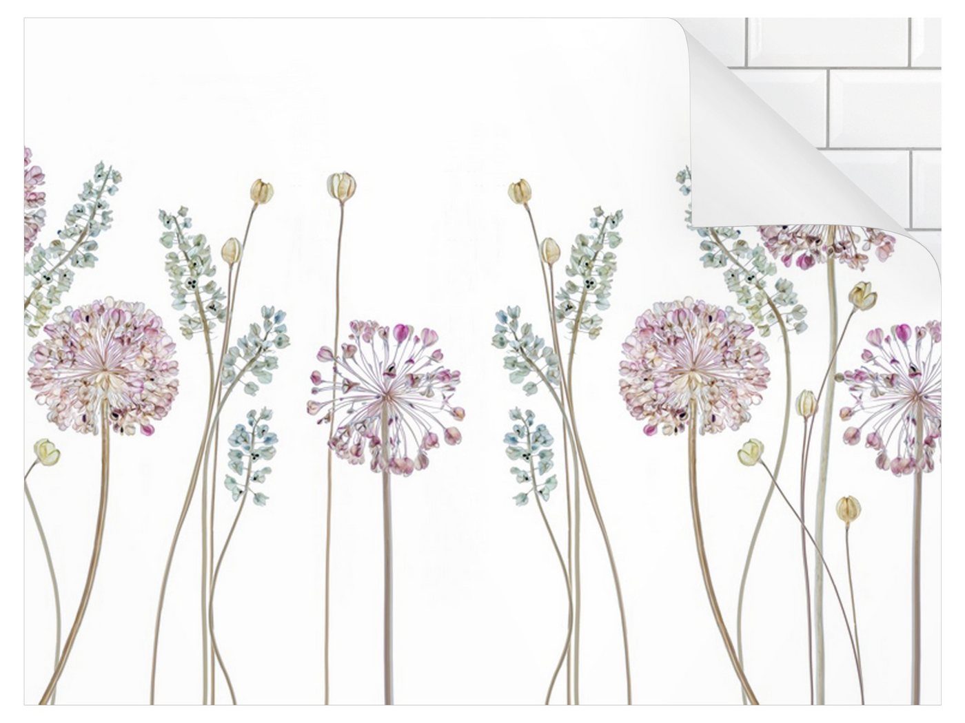 Bilderdepot24 Küchenrückwand pastell dekor Blumen Botanik Tropisch Landhaus Allium Illustration II, (1-tlg., Nischenrückwand - für Fliesenspiegel ohne Bohren - matt), Spritzschutz Rückwand Küche Herd - Folie selbstklebend versch. Größen von Bilderdepot24