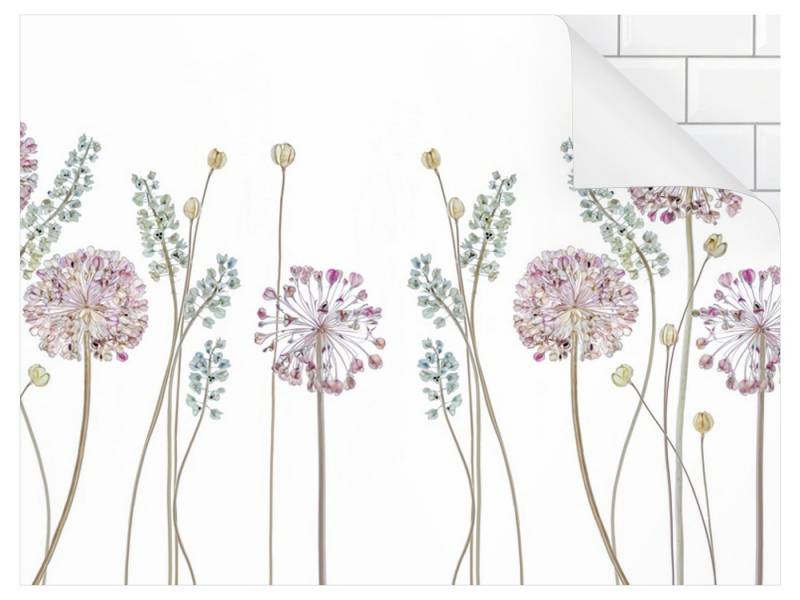 Bilderdepot24 Küchenrückwand pastell dekor Blumen Botanik Tropisch Landhaus Allium Illustration II, (1-tlg., Nischenrückwand - für Fliesenspiegel ohne Bohren - matt), Spritzschutz Rückwand Küche Herd - Folie selbstklebend versch. Größen von Bilderdepot24
