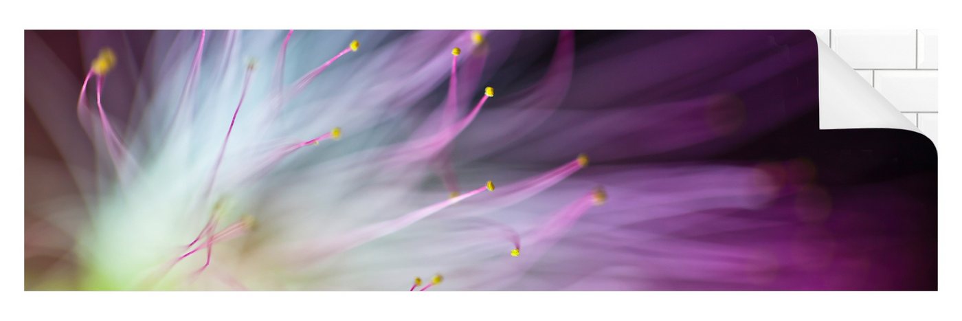 Bilderdepot24 Küchenrückwand selbstklebend violett Blumen Motiv, (1-tlg., Nischenrückwand - für Fliesenspiegel ohne Bohren - glänzend), Nischenrückwand fugenlos Wandpaneel Küche Herd von Bilderdepot24