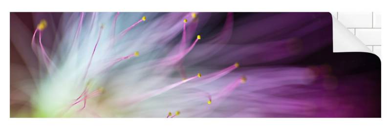 Bilderdepot24 Küchenrückwand selbstklebend violett Blumen Motiv, (1-tlg., Nischenrückwand - für Fliesenspiegel ohne Bohren - glänzend), Nischenrückwand fugenlos Wandpaneel Küche Herd von Bilderdepot24