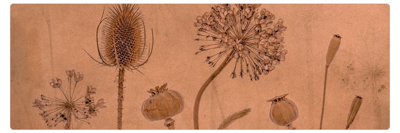 Bilderdepot24 Läufer Teppich Kork Flur Küche Vintage funktional lang modern funktional Bilderdepot24 Läufer Teppich Kork Flur Küche Vintage funktional lang modern funktional von Bilderdepot24