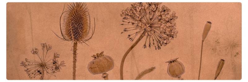 Bilderdepot24 Läufer Teppich Kork Flur Küche Vintage funktional lang modern funktional Bilderdepot24 Läufer Teppich Kork Flur Küche Vintage funktional lang modern funktional von Bilderdepot24