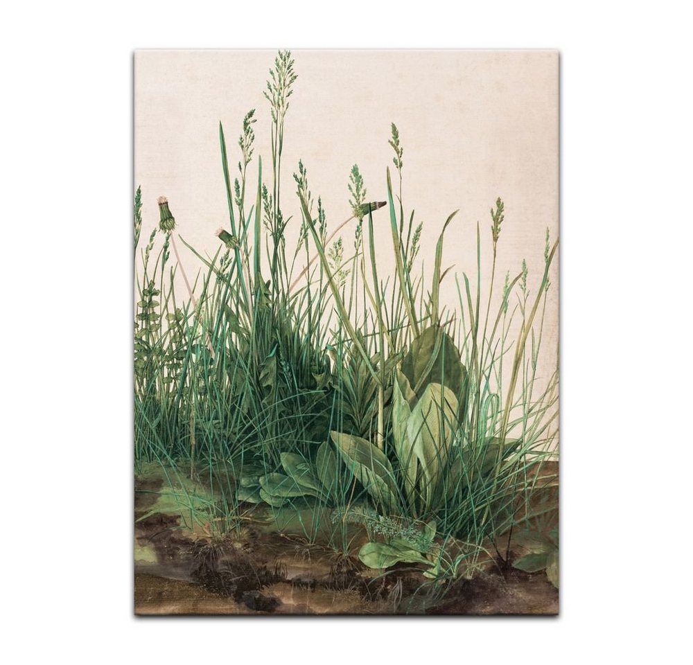 Bilderdepot24 Leinwandbild Alte Meister - Albrecht Dürer - Das große Rasenstück, Pflanzen von Bilderdepot24
