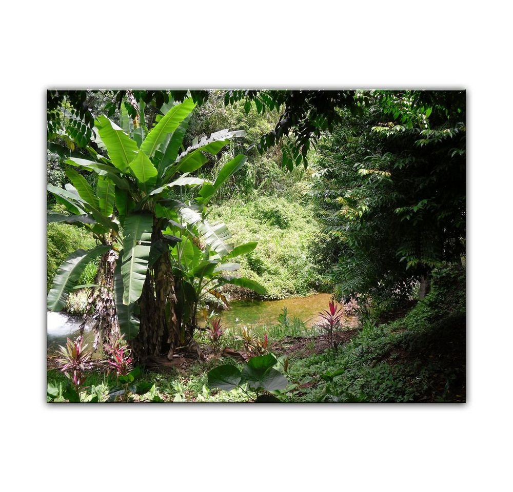 Bilderdepot24 Leinwandbild Bananenbaum im Dschungel, Pflanzen von Bilderdepot24