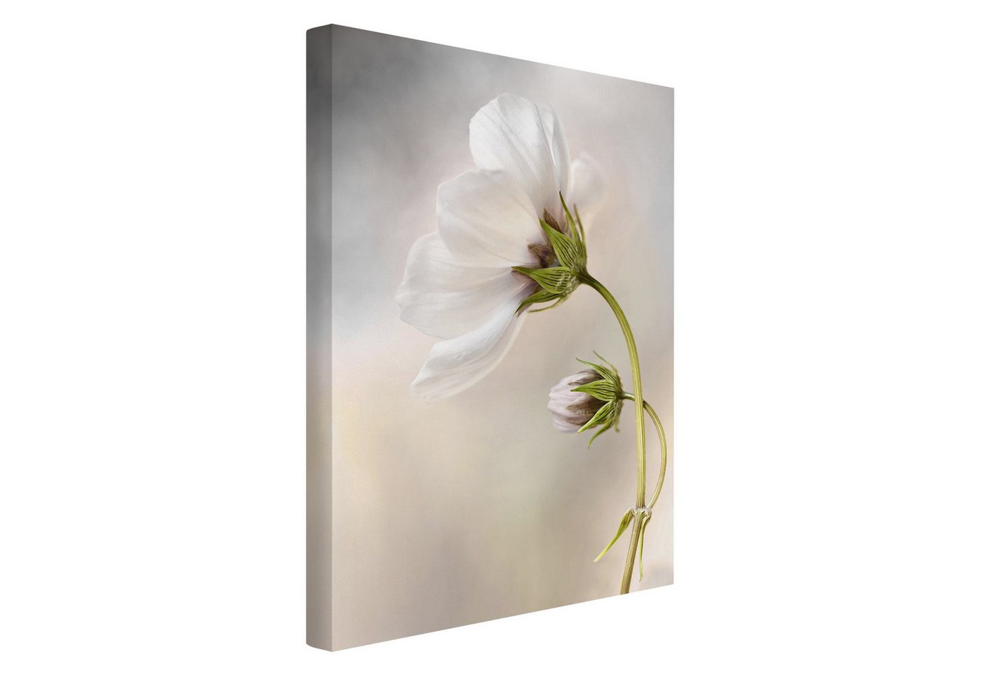 Bilderdepot24 Leinwandbild Blumen Modern Himmlischer Blütentraum grün Bild auf Leinwand Groß XXL, Bild auf Leinwand, Leinwanddruck in vielen Größen von Bilderdepot24