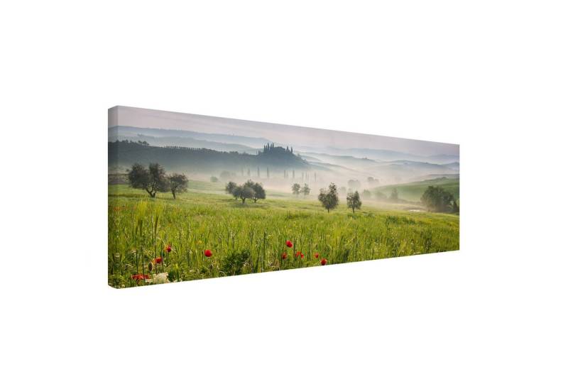 Bilderdepot24 Leinwandbild Blumen Modern floral Natur Toskana Frühling grün Bild auf Leinwand XXL, Bild auf Leinwand, Leinwanddruck in vielen Größen von Bilderdepot24