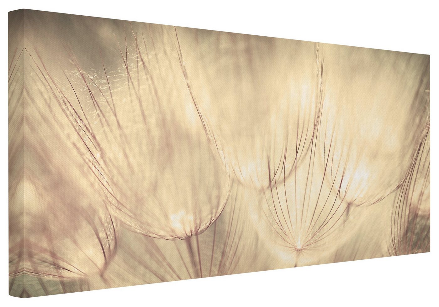 Bilderdepot24 Leinwandbild Blumen Natur Modern Pusteblumen schwarz weiss Bild auf Leinwand XXL, Wohnzimmer Schlafzimmer Küche Flur Wandbild Kunstdruck Wanddeko Druck Bilderdepot24 Leinwandbild Blumen Natur Modern Pusteblumen schwarz weiss Bild auf Leinwand XXL, Wohnzimmer Schlafzimmer Küche Flur Wandbild Kunstdruck Wanddeko Druck von Bilderdepot24