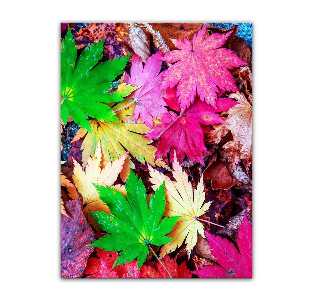 Bilderdepot24 Leinwandbild Bunte Herbstblätter, Pflanzen von Bilderdepot24