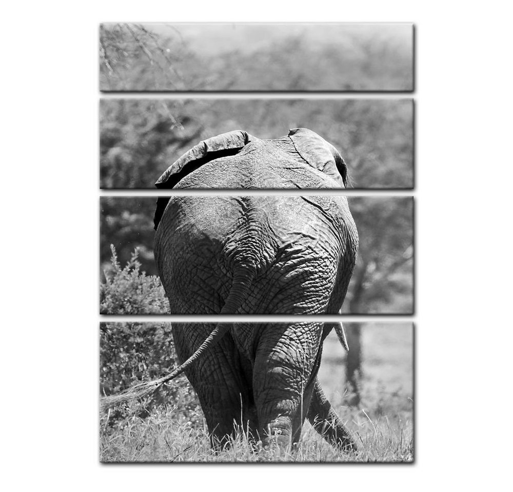 Bilderdepot24 Leinwandbild Elefant im Tarangire National Park,Tanzania, Tiere von Bilderdepot24