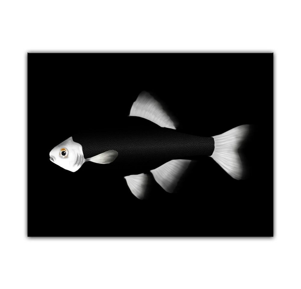 Bilderdepot24 Leinwandbild Fisch - schwarz weiß, Tiere von Bilderdepot24
