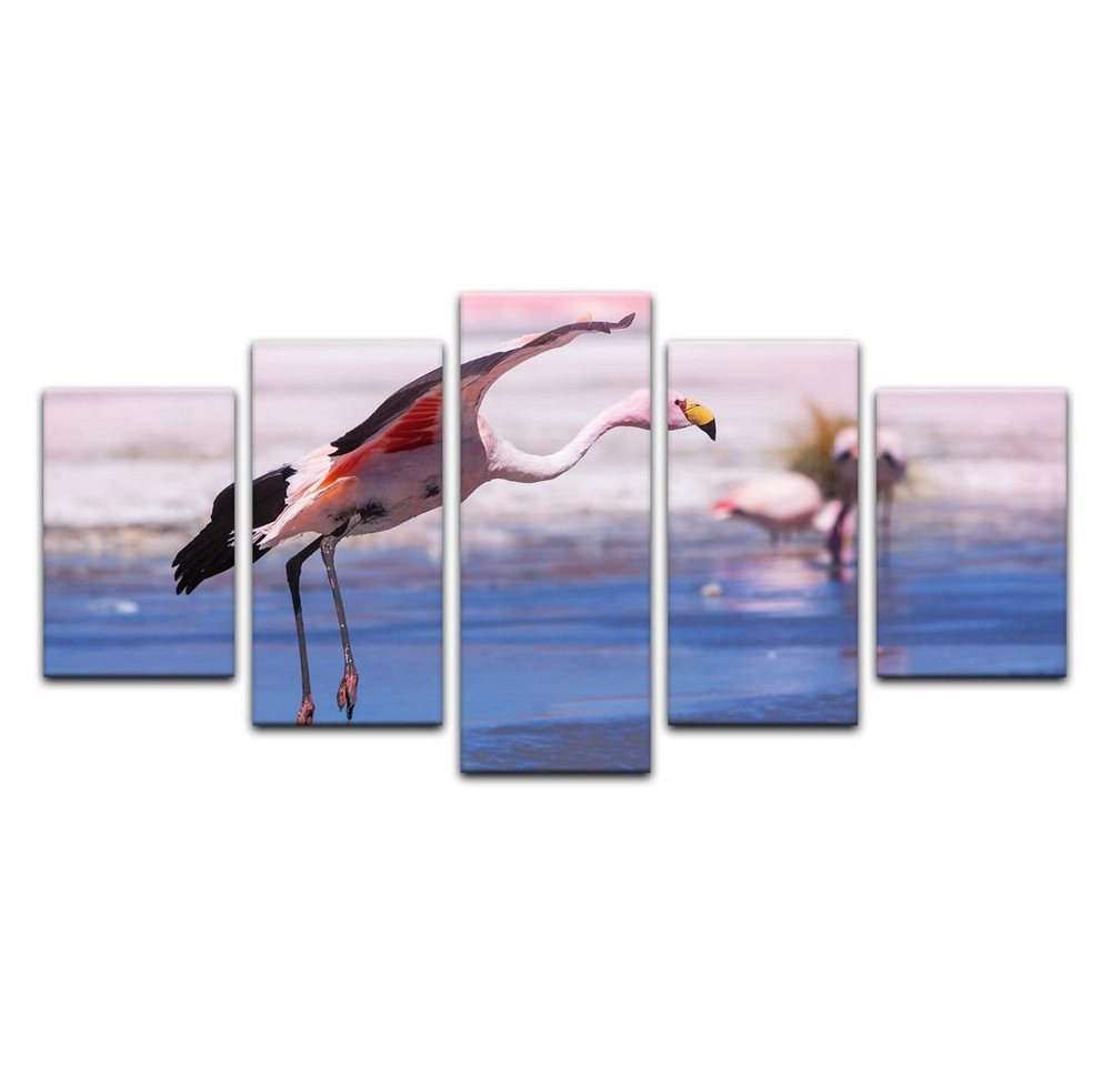 Bilderdepot24 Leinwandbild Flamingo im Flug, Tiere von Bilderdepot24