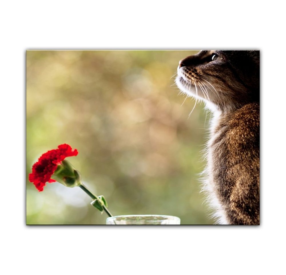 Bilderdepot24 Leinwandbild Katze und Blume, Tiere von Bilderdepot24