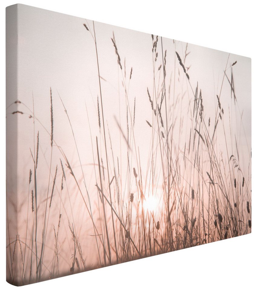 Bilderdepot24 Leinwandbild Kunstdruck Sommerabend creme beige Bild auf Leinwand Groß XXL, Bild auf Leinwand, Leinwanddruck in vielen Größen von Bilderdepot24