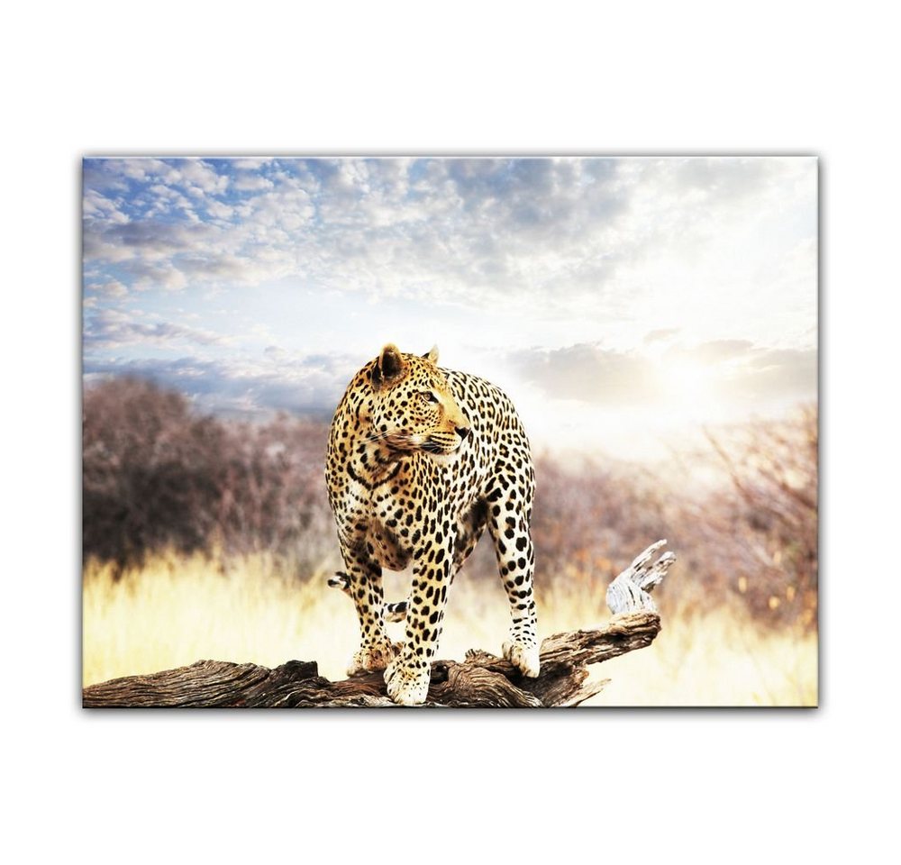 Bilderdepot24 Leinwandbild Leopard, Tiere von Bilderdepot24