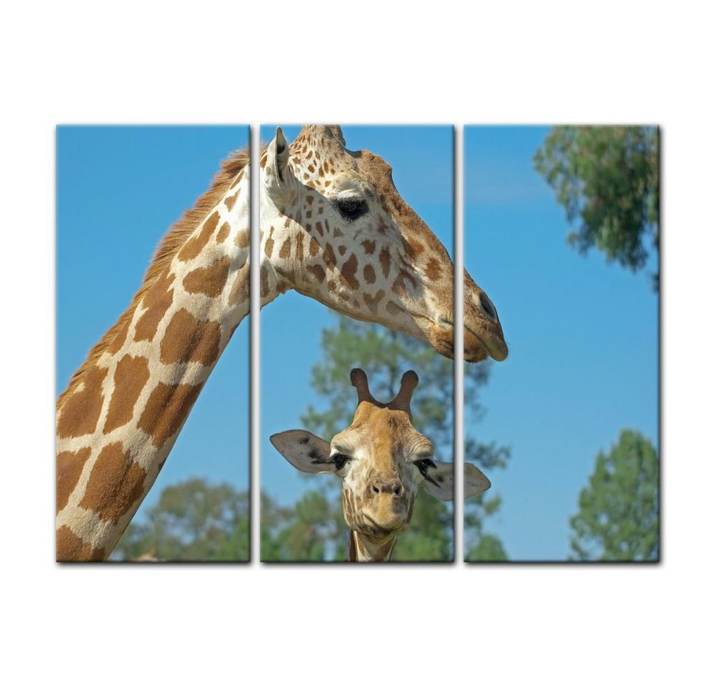 Bilderdepot24 Leinwandbild Mutter und Baby Giraffe, Tiere von Bilderdepot24