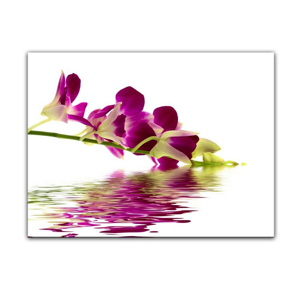 Bilderdepot24 Leinwandbild Orchidee IV, Blumen von Bilderdepot24