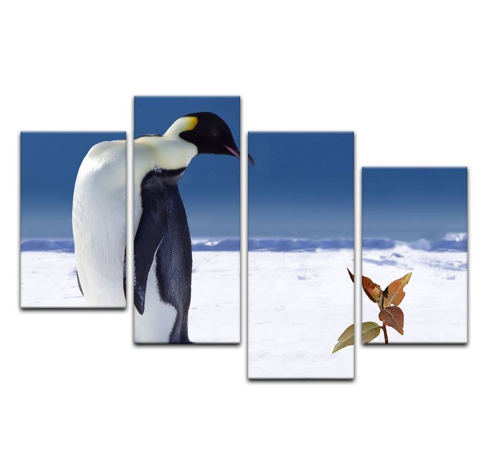 Bilderdepot24 Leinwandbild Pinguin mit Blume, Tiere von Bilderdepot24