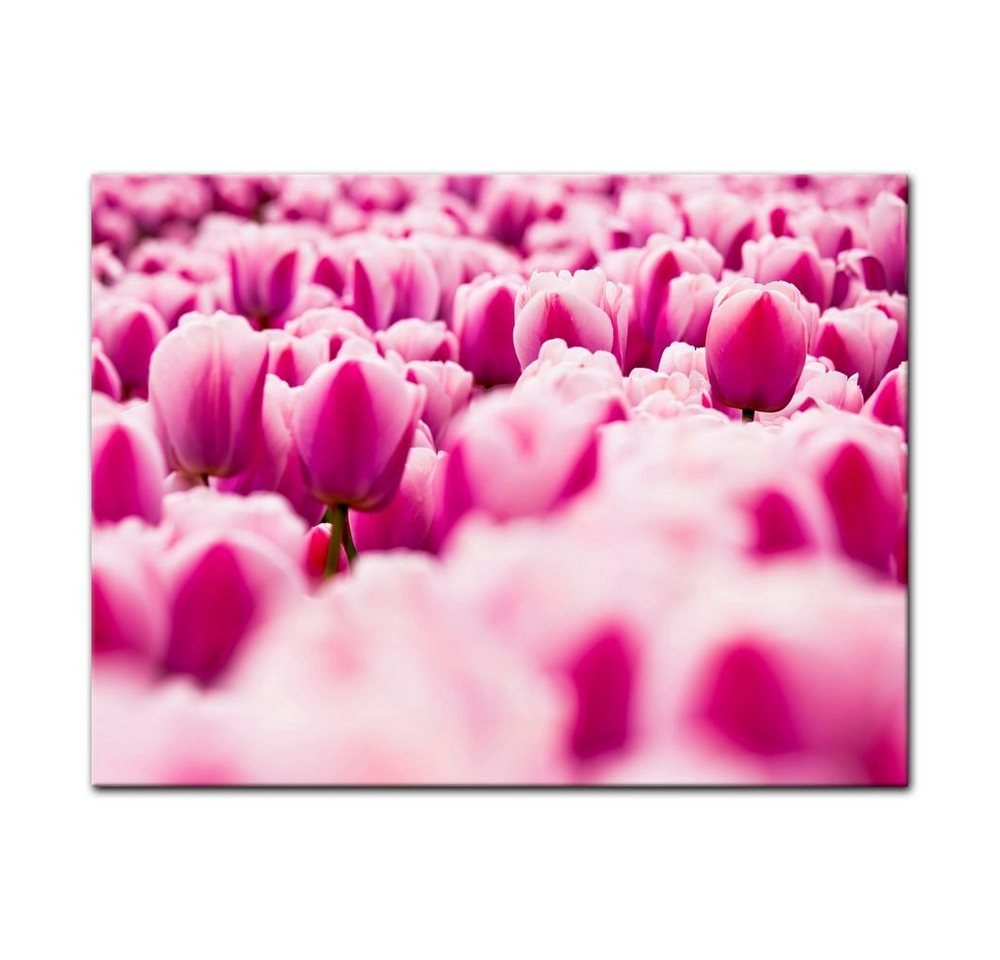 Bilderdepot24 Leinwandbild Pinke Tulpen, Blumen von Bilderdepot24
