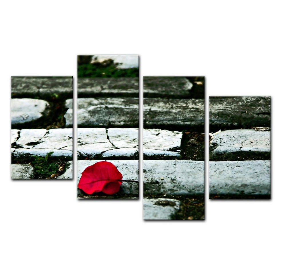 Bilderdepot24 Leinwandbild Rosenblatt auf der Strasse, Pflanzen von Bilderdepot24