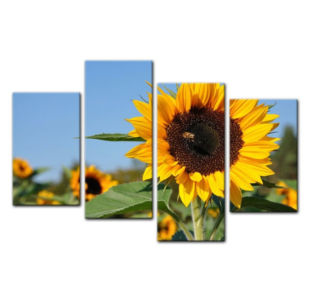 Bilderdepot24 Leinwandbild Sonnenblume mit Biene, Blumen von Bilderdepot24