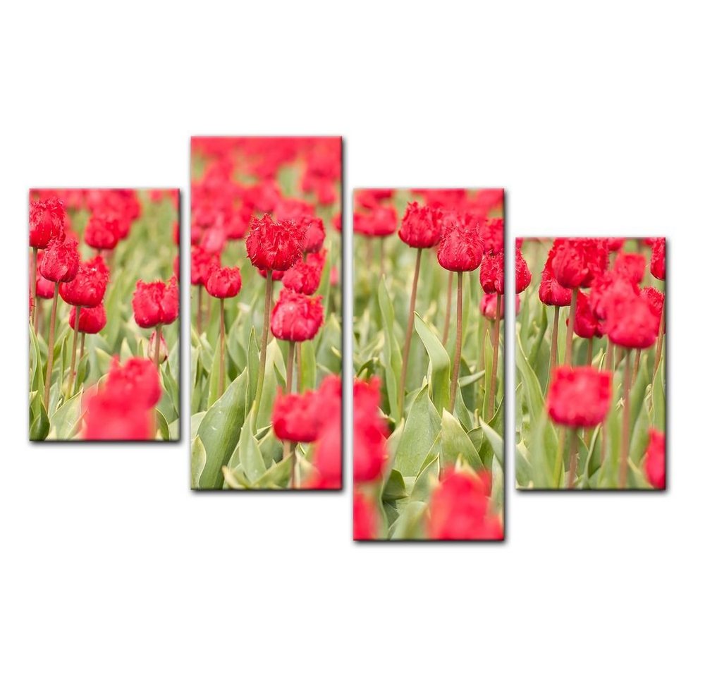 Bilderdepot24 Leinwandbild Tulpenfeld, Blumen von Bilderdepot24