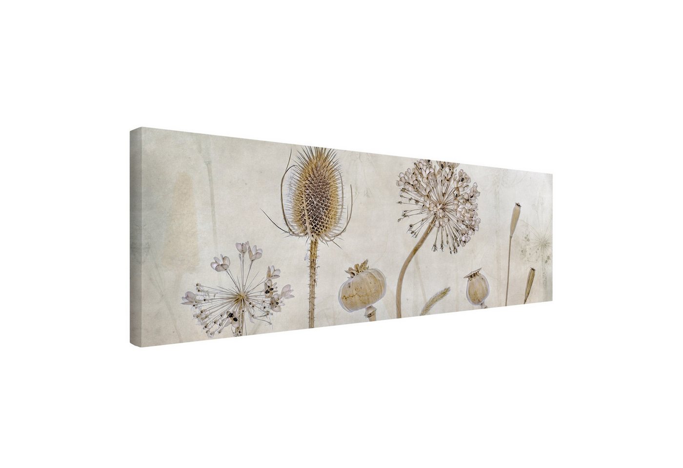 Bilderdepot24 Leinwandbild Vintage Retro Modern Landhaus Blumen creme beige Bild auf Leinwand XXL, Bild auf Leinwand, Leinwanddruck in vielen Größen von Bilderdepot24