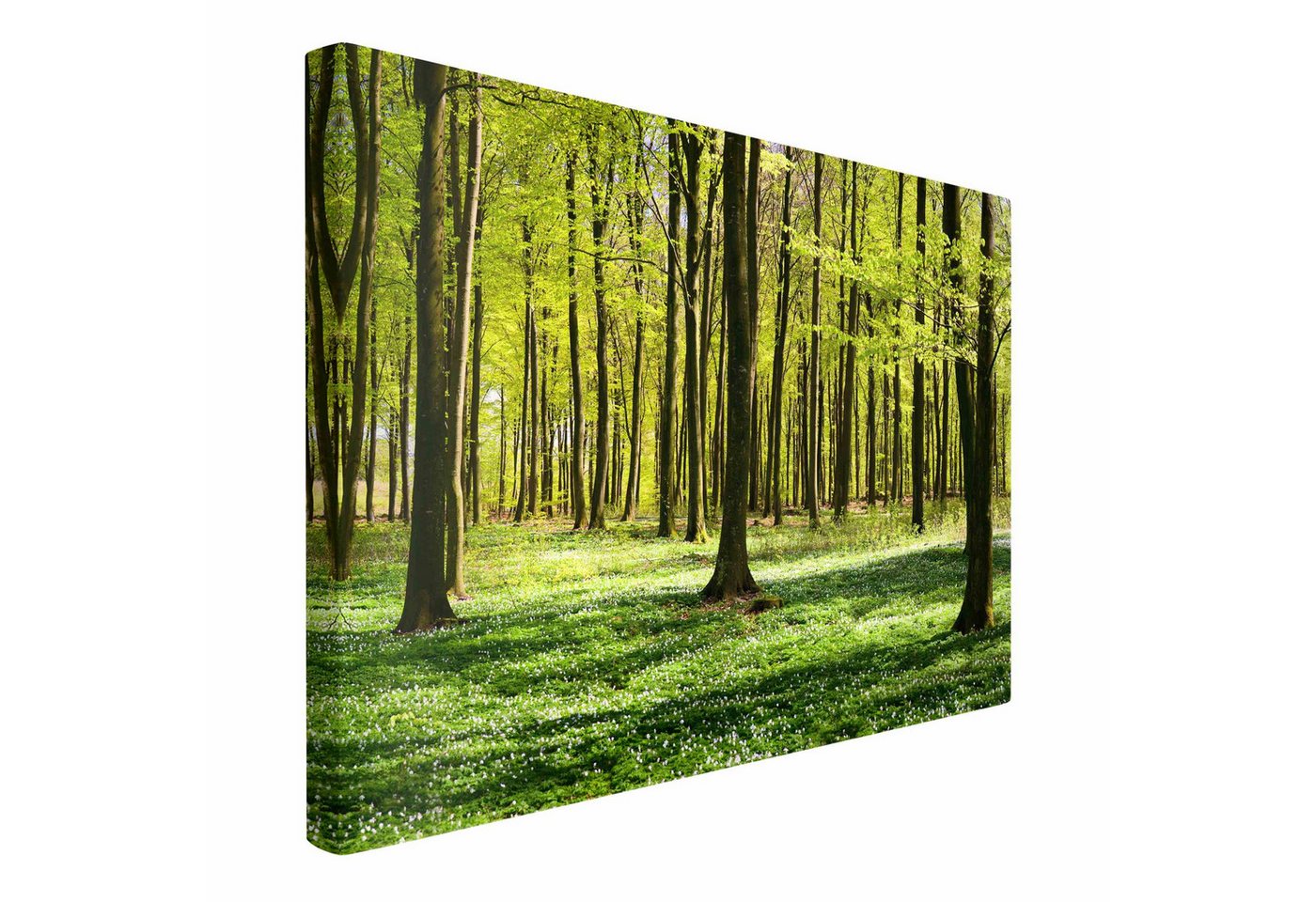 Bilderdepot24 Leinwandbild Wald Natur Landschaft Modern Waldwiese grün Bild auf Leinwand XXL, Bild auf Leinwand, Leinwanddruck in vielen Größen von Bilderdepot24