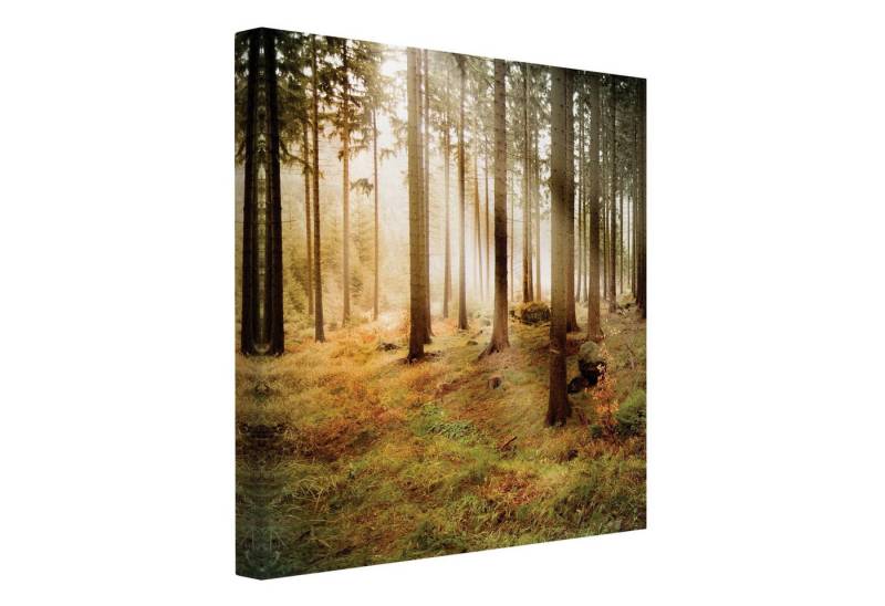 Bilderdepot24 Leinwandbild Wald Natur Modern Morning Forest grün braun Bild auf Leinwand XXL, Bild auf Leinwand, Leinwanddruck in vielen Größen von Bilderdepot24