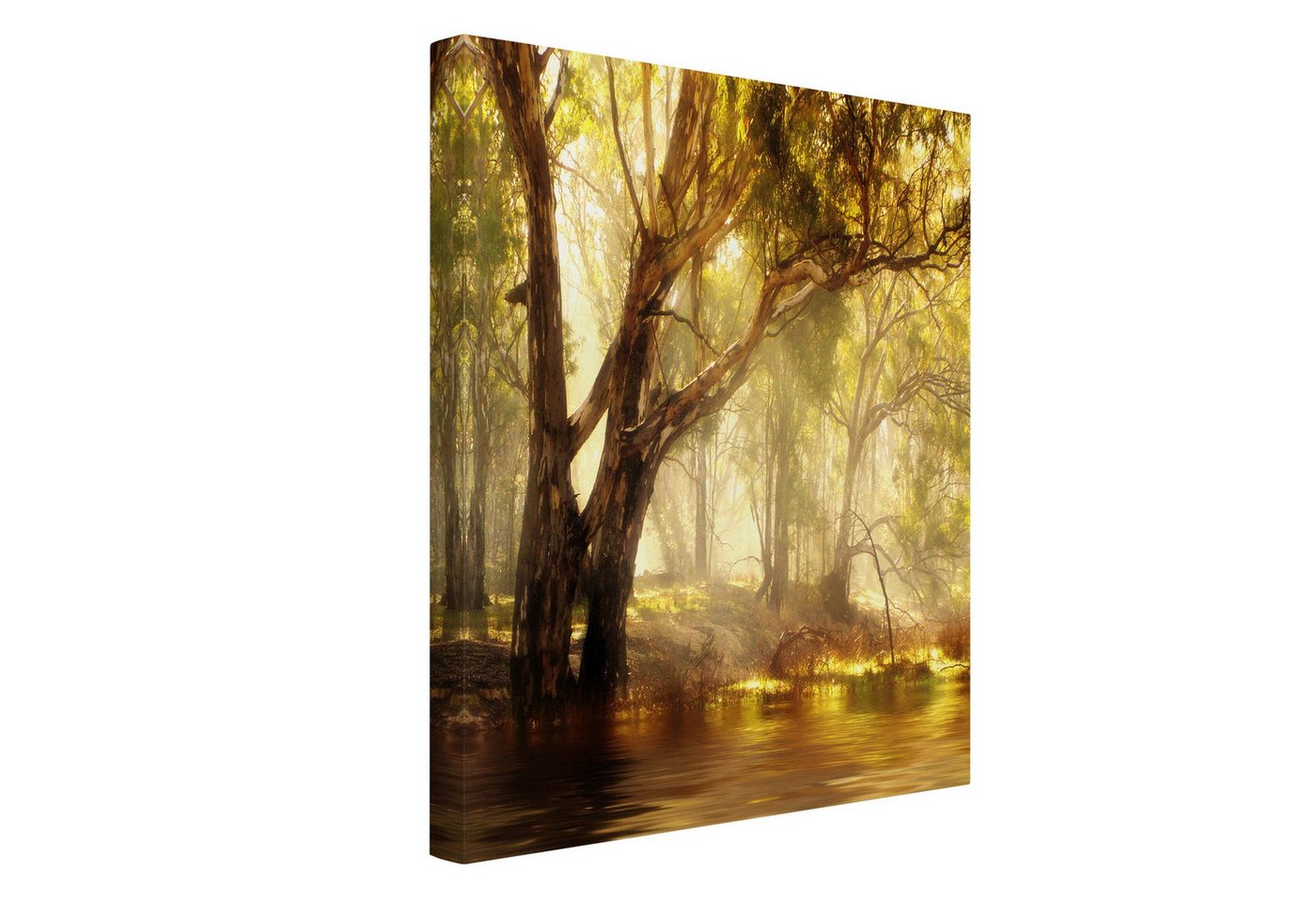 Bilderdepot24 Leinwandbild Wald Natur Modern Natur Baum Fluss Nebel grün Bild auf Leinwand XXL, Bild auf Leinwand, Leinwanddruck in vielen Größen von Bilderdepot24