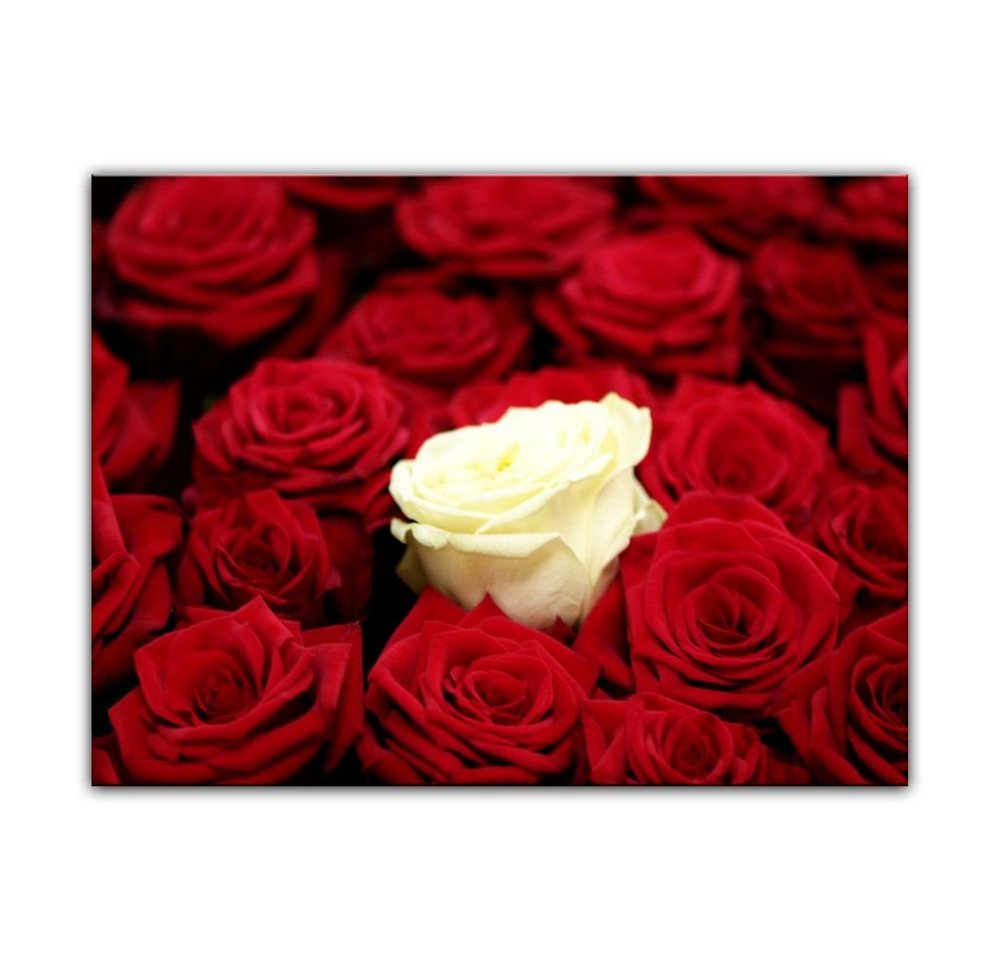 Bilderdepot24 Leinwandbild Weiße Rose, Blumen von Bilderdepot24
