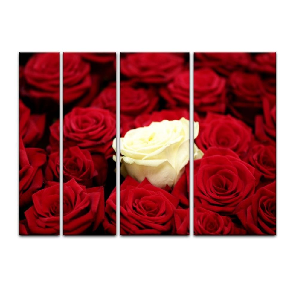 Bilderdepot24 Leinwandbild Weiße Rose, Blumen von Bilderdepot24