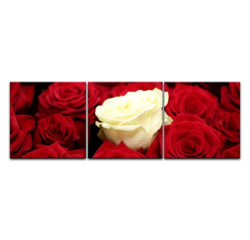 Bilderdepot24 Leinwandbild Weiße Rose, Blumen von Bilderdepot24