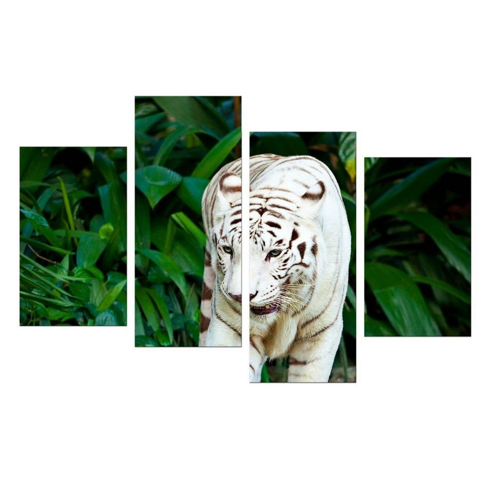 Bilderdepot24 Leinwandbild Weißer Tiger II, Tiere von Bilderdepot24