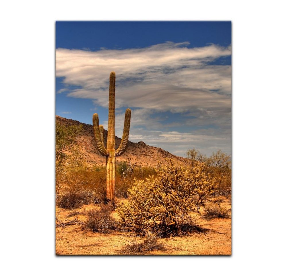 Bilderdepot24 Leinwandbild Wüste Kaktus, Landschaften von Bilderdepot24