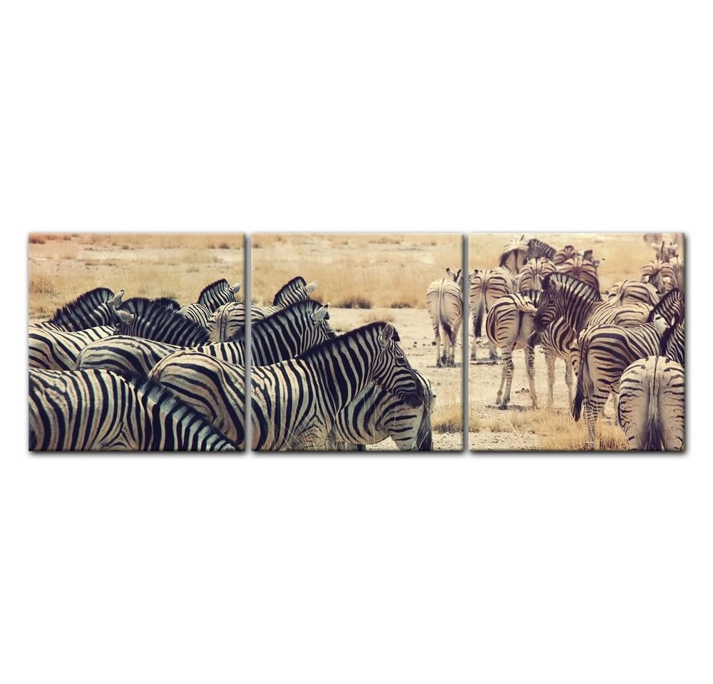 Bilderdepot24 Leinwandbild Zebras im Sonnenuntergang, Tiere von Bilderdepot24