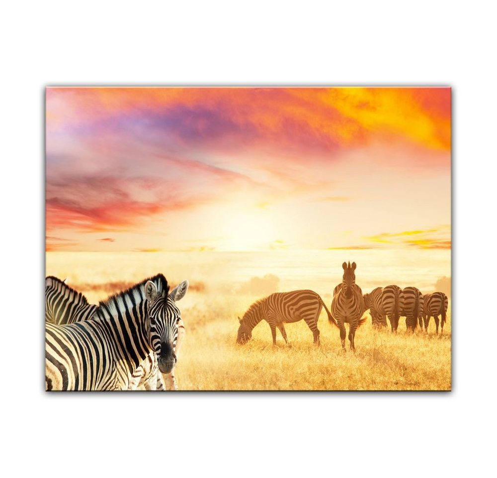 Bilderdepot24 Leinwandbild Zebras in der Savanne, Tiere von Bilderdepot24